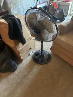 Fan