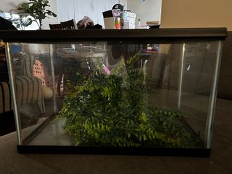 Small Size Tank
