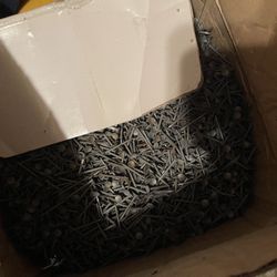 50 Lb Box Drywall Nails 