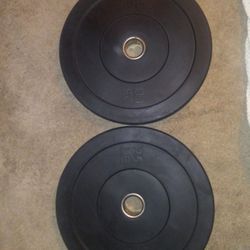 Two 25lb Barbell Plates