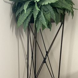 Plant And Stand