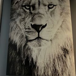 Cuadro De Leon