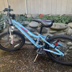 Schwinn Girls Mountain Bike