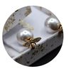 Lovely Gift （ Shipping Only )