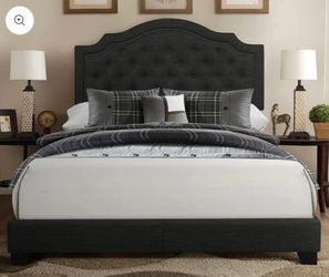 Brand New Queen  Bed ( Mattress Sold Separately )