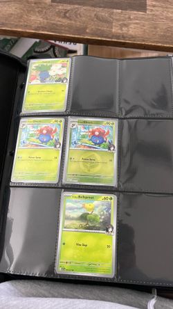 Pokemon Ascended hero’s bulk lot