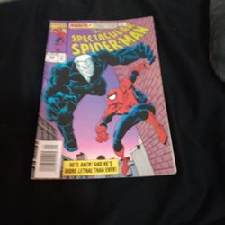 The Spectacular Spider-man Comic Book