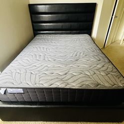 Modern Bedroom Set