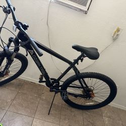 Ozark Trail Bike 