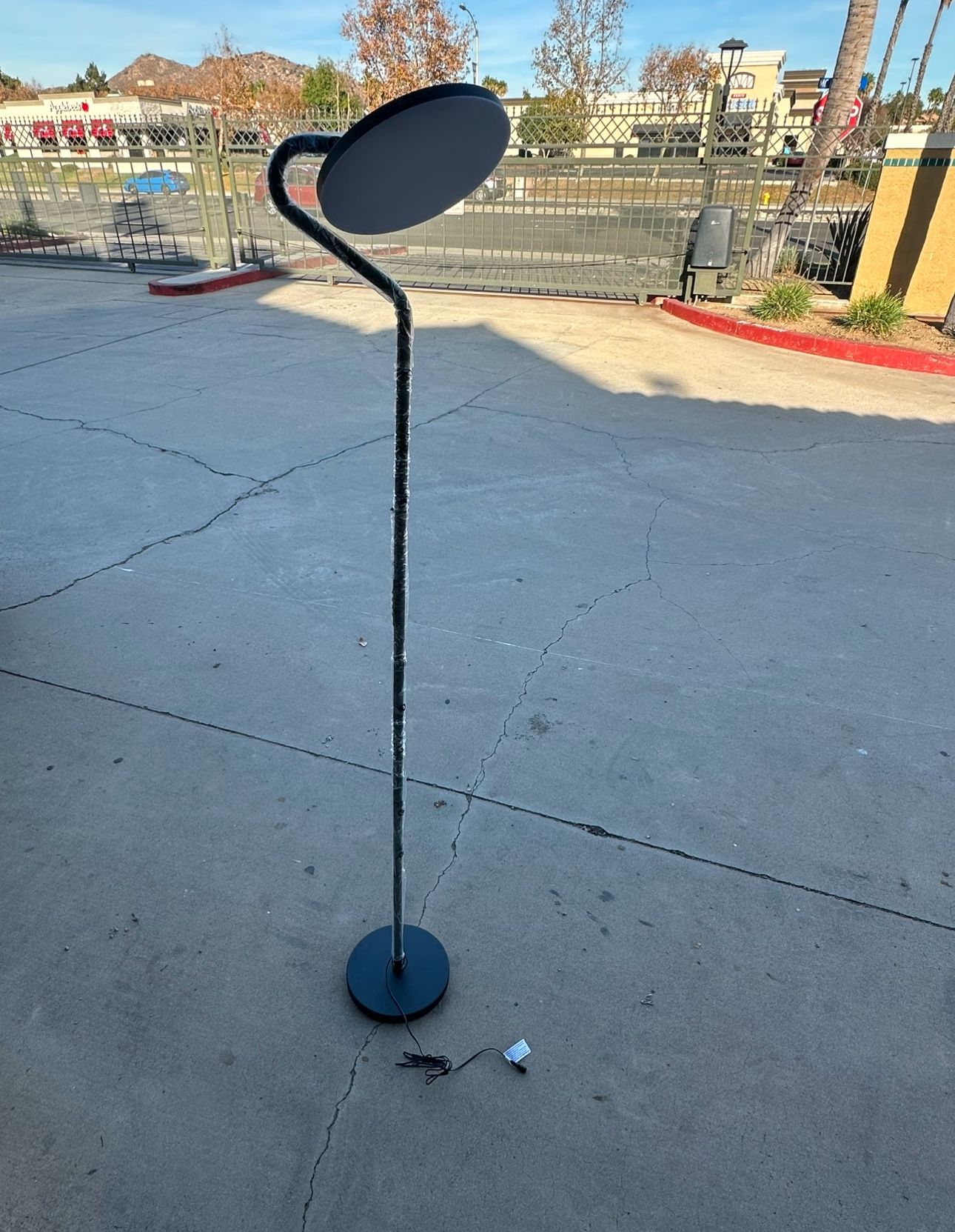 LED Floor Lamp