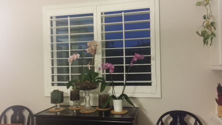 Shutters, Blinds & Roller Shades