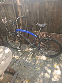 Beach cruiser