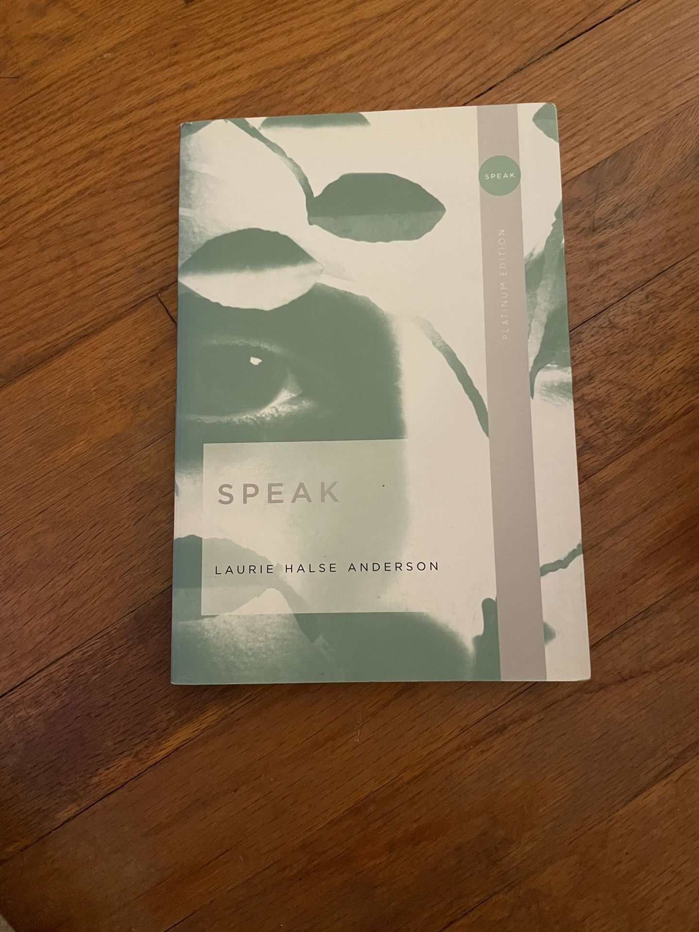 Speak By Laurie Halse Anderson