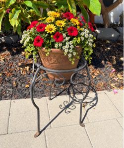 Wrought Iron Scrollwork Plant Stand