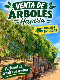 Variedad de árboles🌳
