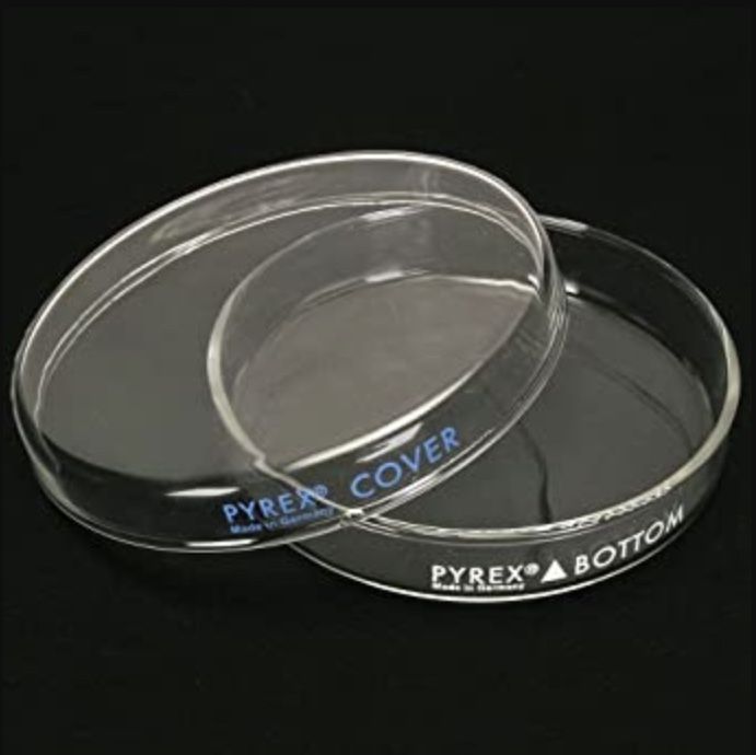 Pyrex 60x15mm Petri Dishes top+bottom (48 total)