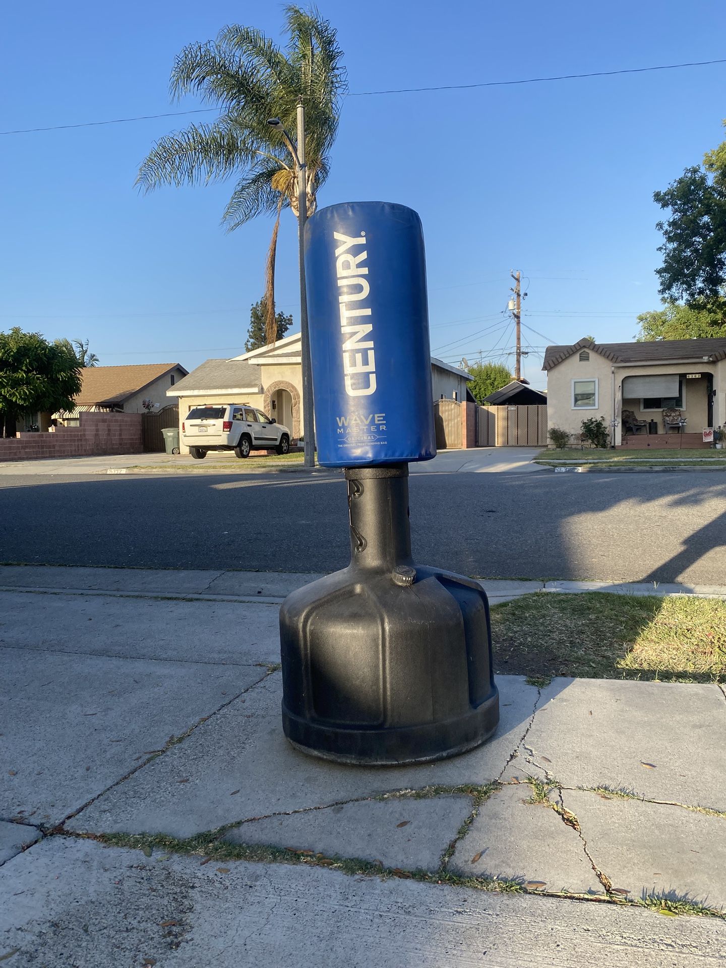 CENTURY WAVEMASTER PUNCHING BAG