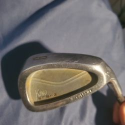 King Snake oversized 9 iron