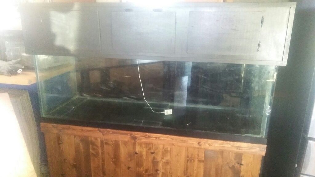 180 gallon tank