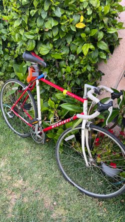 Nishiki road bike