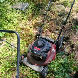 2 Lawn Mowers 