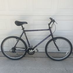Schwinn Sidewinder Special Edition