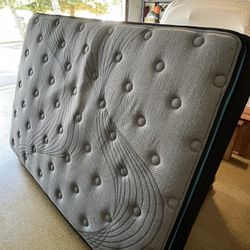 Mattress & Box Spring 