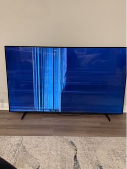 65” Samsung TV Damaged LCD Panel