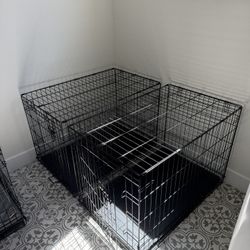 Dog Kennels