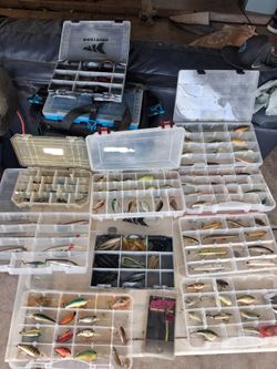 Bass Fishermans Dream  Mass Tackle  !!!