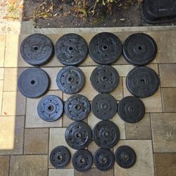 155 Pounds/Lbs 1 Inch Disks