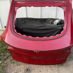 Model Y Tailgate 2020 2024