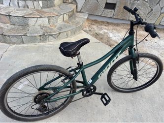 Giant mountain jr bike
