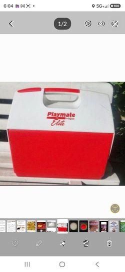Igloo playmate Elite