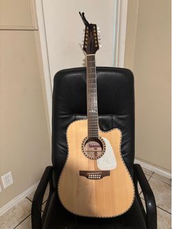 Takamine Guitar