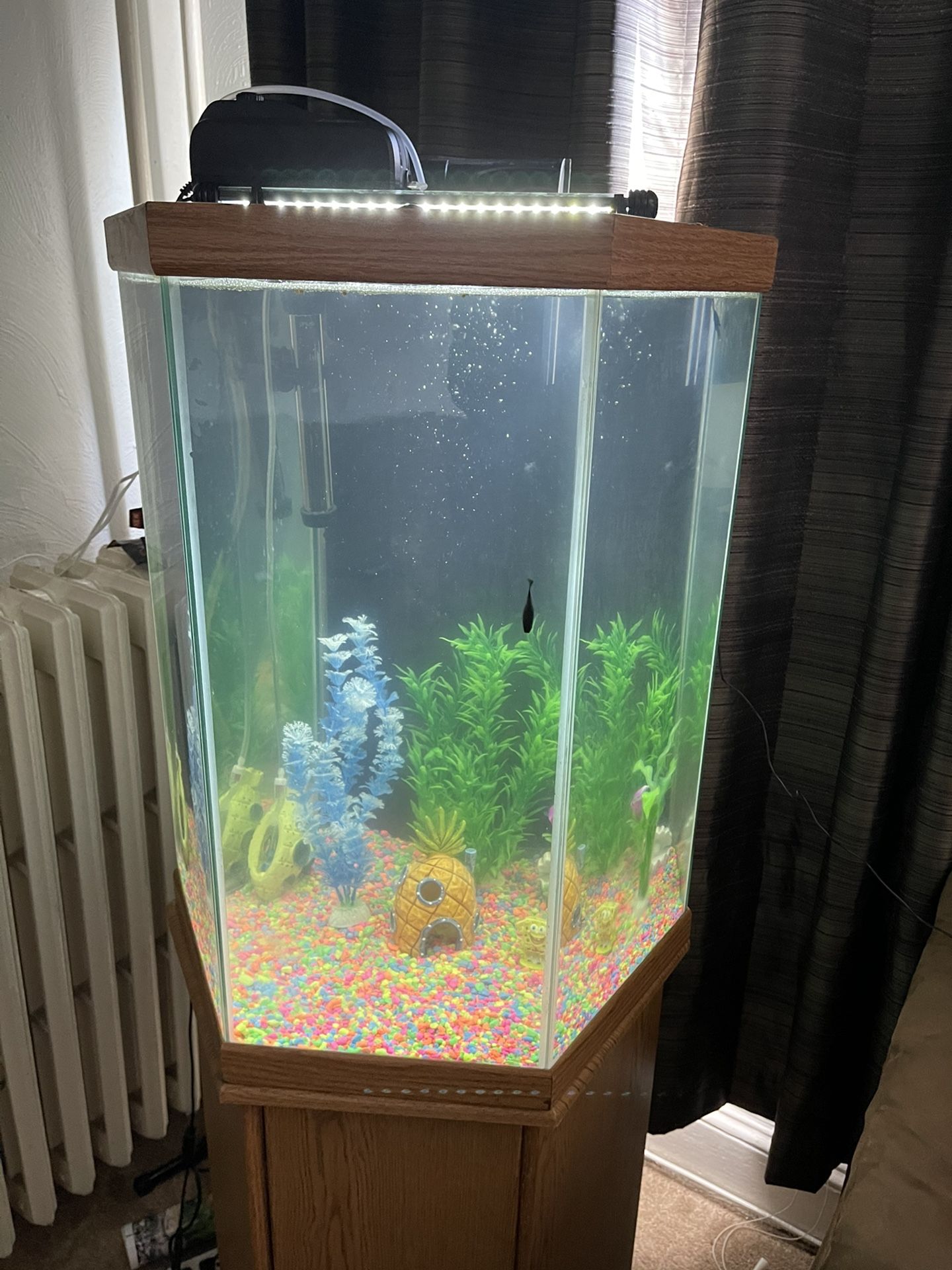 35 Gallon Fish Tank With Stand And  Lid 