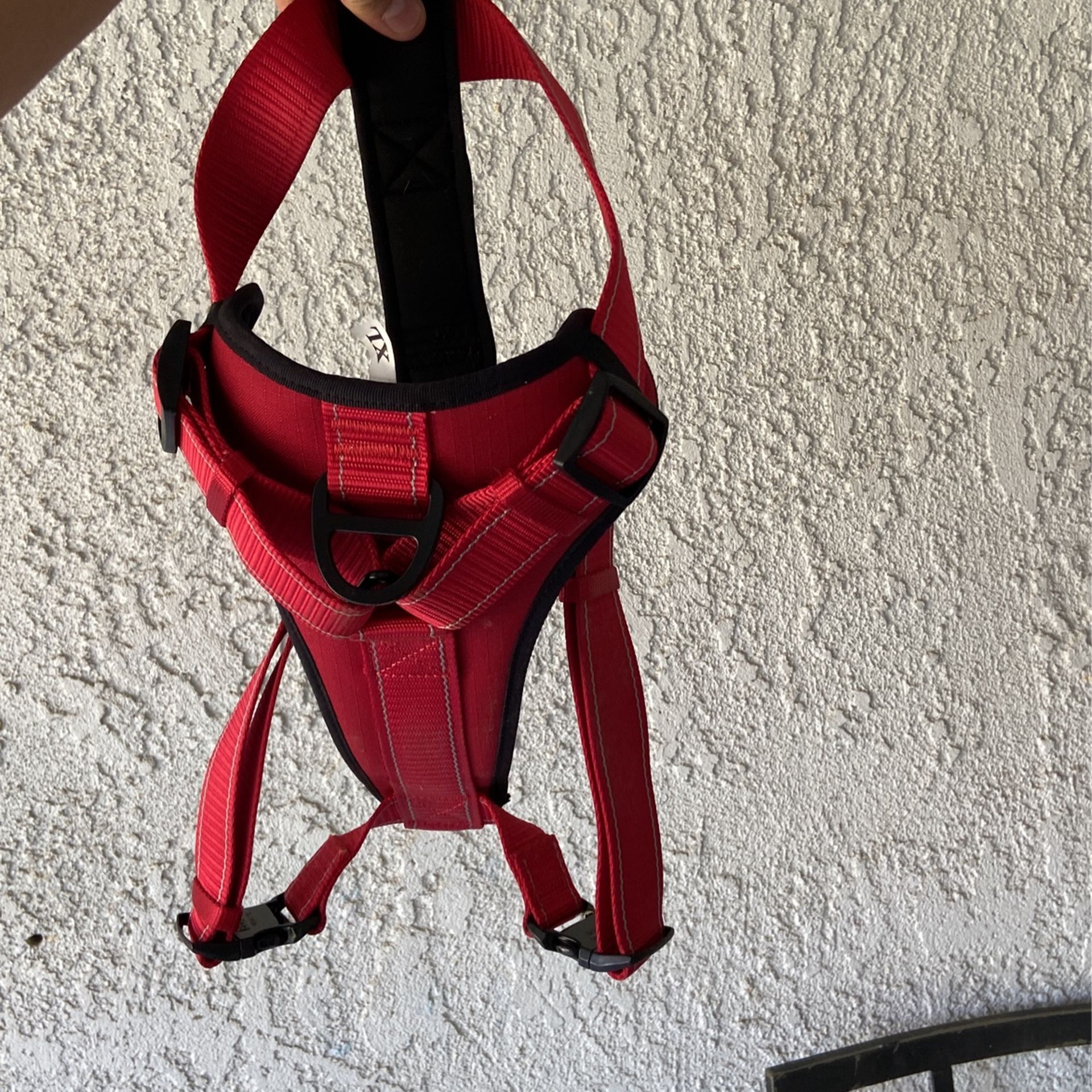 Xl Kong Red Harness