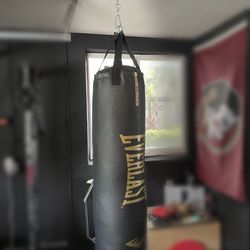Everlast Elite 100 lb. Heavy Punching Bag