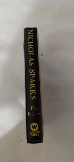 The Rescue By Nicolas Soarks