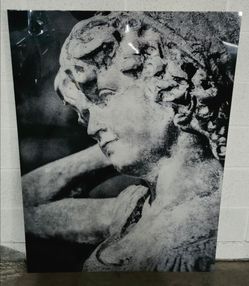 Monumental Black & White Classical Art Panel
36” x 48.5”