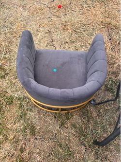 cat bed