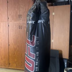 Punching Bag UFC 