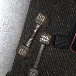 10 Dumbbells 