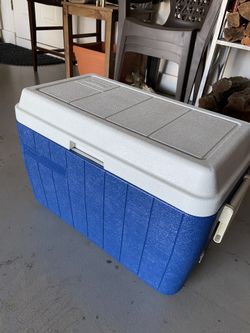 Coleman Hard-Sided Cooler – Clean, Sturdy, and Ready to Go!