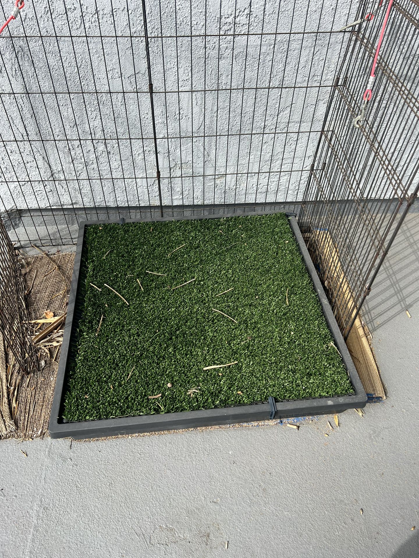 Dog Potty Box