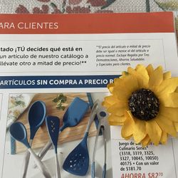 Juego de Untensilios Azules Princess House 