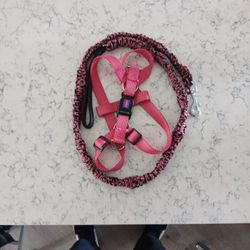 Dog Leash/ Harness 