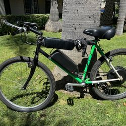The Beast E-bike Conversion