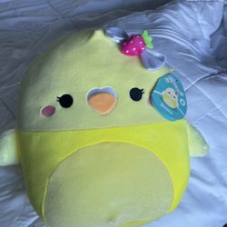 Shayna the yellow chick Squishmallow