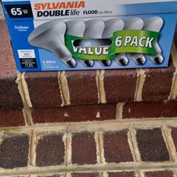 Sylvania Flood Lights